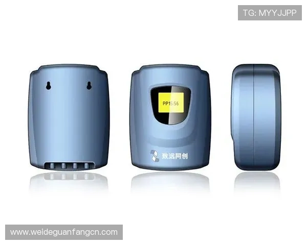 便捷快速的PP电子下载流程指南,帮助新手玩家轻松上手体验游戏乐趣 便捷快速的PP电子下载流程指南,帮助新手玩家轻松上手体验游戏乐趣